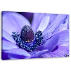 Paveikslas Mėlynos violetinės gėlė kaina ir informacija | Reprodukcijos, paveikslai | pigu.lt