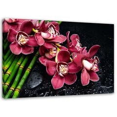 Paveikslas Orchida ant bambuko kaina ir informacija | Reprodukcijos, paveikslai | pigu.lt