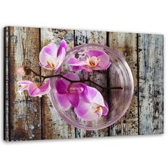 Paveikslas Orchidėja lentų fone kaina ir informacija | Reprodukcijos, paveikslai | pigu.lt