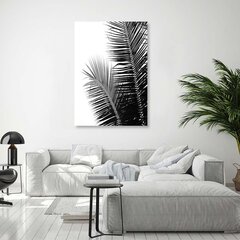 Принт холста, пальмовые листья 39,99 цена и информация | Репродукции, картины | pigu.lt