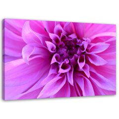 Paveikslas Purpurinė gėlė kaina ir informacija | Reprodukcijos, paveikslai | pigu.lt