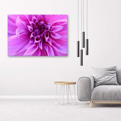 Paveikslas Purpurinė gėlė kaina ir informacija | Reprodukcijos, paveikslai | pigu.lt