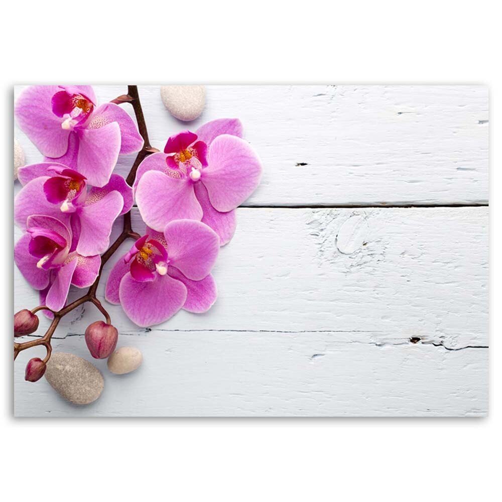 Paveikslas Rožinė orchidėja ir pumpurai kaina ir informacija | Reprodukcijos, paveikslai | pigu.lt