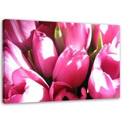 Paveikslas Rožinių tulpių puokštė kaina ir informacija | Reprodukcijos, paveikslai | pigu.lt