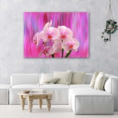 Paveikslas Orchidėjos purpurinės ir rožinės spalvos kaina ir informacija | Reprodukcijos, paveikslai | pigu.lt