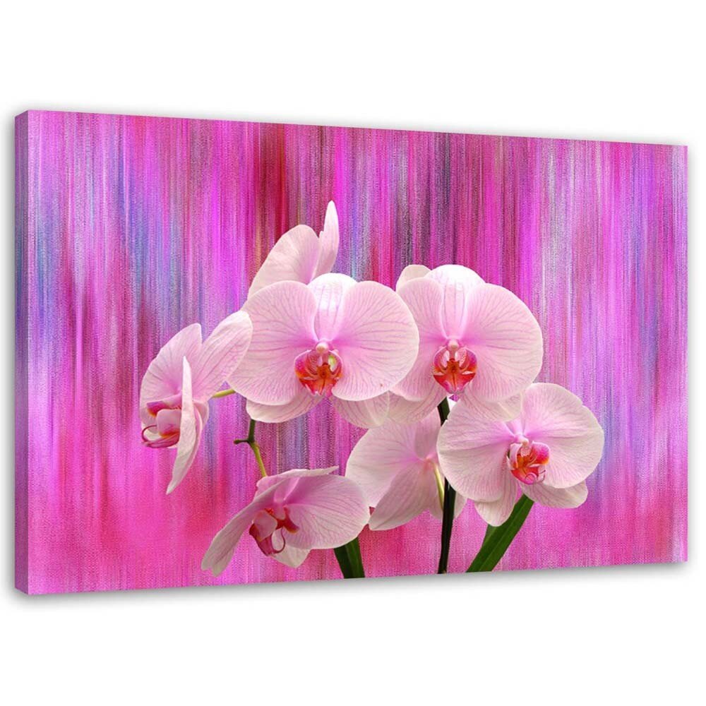Paveikslas Orchidėjos purpurinės ir rožinės spalvos kaina ir informacija | Reprodukcijos, paveikslai | pigu.lt