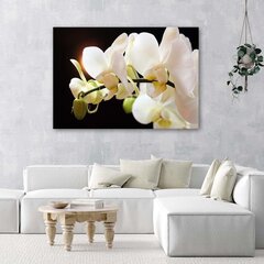 Paveikslas Arčiau orchidėjų kaina ir informacija | Reprodukcijos, paveikslai | pigu.lt