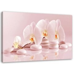 Paveikslas Zen orchidėjos miltelių rožinėje spalvos kaina ir informacija | Reprodukcijos, paveikslai | pigu.lt