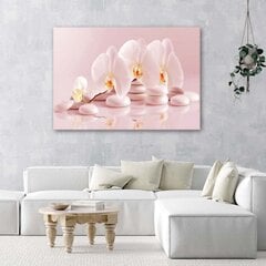 Paveikslas Zen orchidėjos miltelių rožinėje spalvos kaina ir informacija | Reprodukcijos, paveikslai | pigu.lt