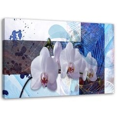 Paveikslas Mėlyna kompozicija iš orchidėjų kaina ir informacija | Reprodukcijos, paveikslai | pigu.lt