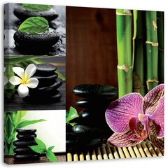 Paveikslas Orchidėjų bambuko akmenys kaina ir informacija | Reprodukcijos, paveikslai | pigu.lt