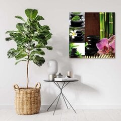 Paveikslas Orchidėjų bambuko akmenys kaina ir informacija | Reprodukcijos, paveikslai | pigu.lt