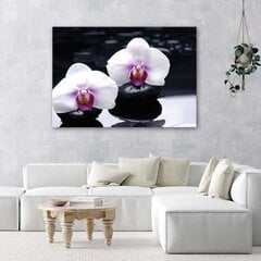 Paveikslas Orchidėja dzeno stiliumi kaina ir informacija | Reprodukcijos, paveikslai | pigu.lt