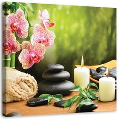 Печать на холсте, свечи орхидеи и дзен камни 39,99 цена и информация | Репродукции, картины | pigu.lt