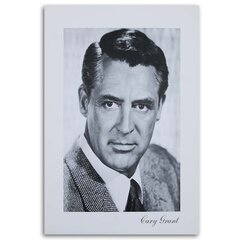 Paveikslas Cary Grant kaina ir informacija | Reprodukcijos, paveikslai | pigu.lt