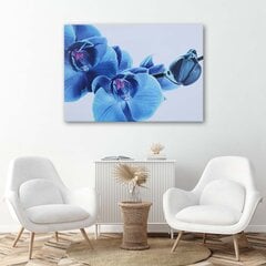 Paveikslas Mėlyna orchidėja kaina ir informacija | Reprodukcijos, paveikslai | pigu.lt