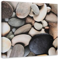 Paveikslas Pilkos spalvos akmenys iš arti kaina ir informacija | Reprodukcijos, paveikslai | pigu.lt