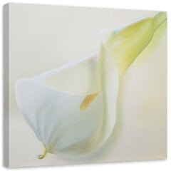 Paveikslas Balta gėlė su geltonu įrašu kaina ir informacija | Reprodukcijos, paveikslai | pigu.lt
