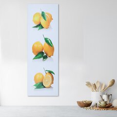 Paveikslas Geltonos citrinos kaina ir informacija | Reprodukcijos, paveikslai | pigu.lt