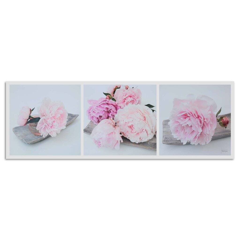Paveikslas Rožinių bijūnų gėlės kaina ir informacija | Reprodukcijos, paveikslai | pigu.lt