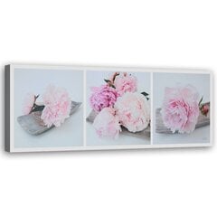 Paveikslas Rožinių bijūnų gėlės kaina ir informacija | Reprodukcijos, paveikslai | pigu.lt