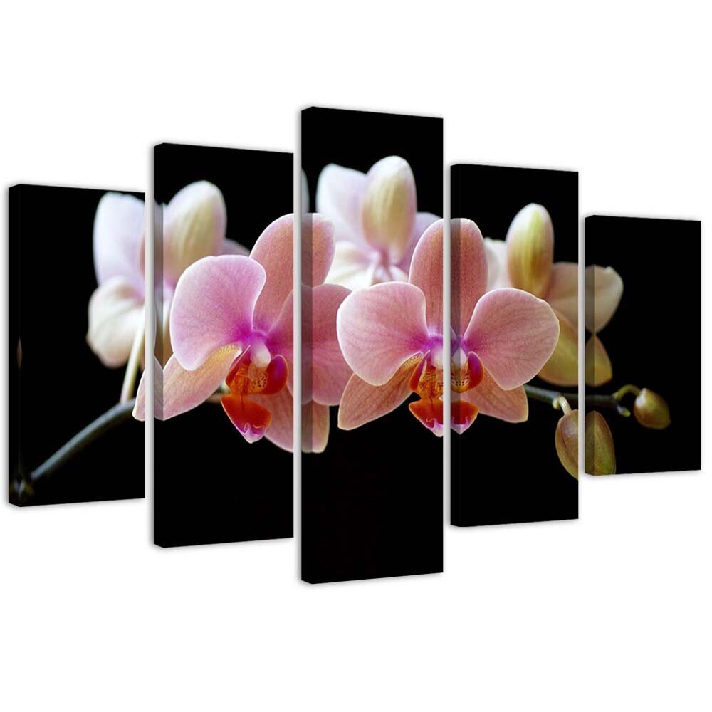 Penkių dalių reprodukcija Rožinė orchidėja kaina ir informacija | Reprodukcijos, paveikslai | pigu.lt