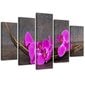 Paveikslas Purpurinės orchidėjos kaina ir informacija | Reprodukcijos, paveikslai | pigu.lt