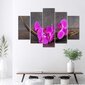 Paveikslas Purpurinės orchidėjos kaina ir informacija | Reprodukcijos, paveikslai | pigu.lt