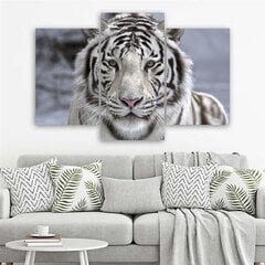 Trijų dalių reprodukcija Baltas tigras žiemą kaina ir informacija | Reprodukcijos, paveikslai | pigu.lt