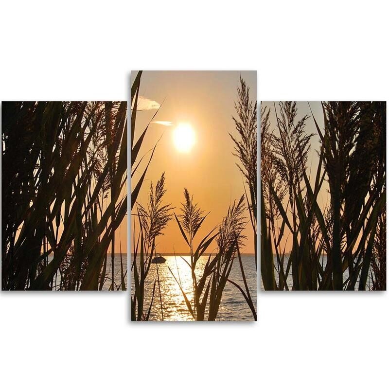 Trijų dalių reprodukcija Saulėlydis ant ežero kranto kaina ir informacija | Reprodukcijos, paveikslai | pigu.lt