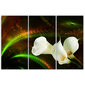 Trijų dalių reprodukcija Balta gėlė rudame fone kaina ir informacija | Reprodukcijos, paveikslai | pigu.lt