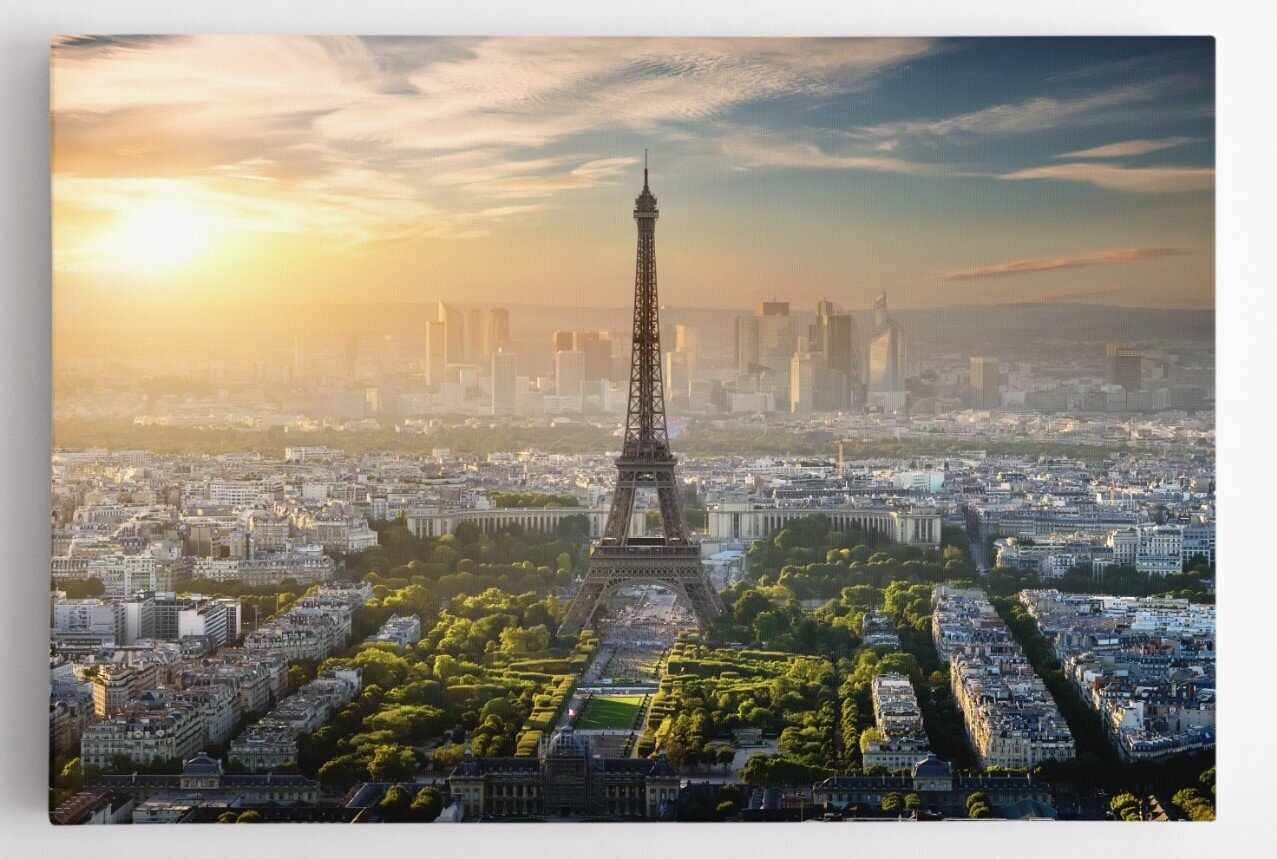 Paveikslas Panorama Paryžiuje su Eifelio bokštu цена и информация | Reprodukcijos, paveikslai | pigu.lt