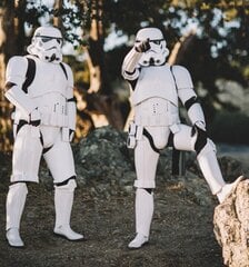 Репродукция Штурмовики (Stormtroopers) 100x150 см цена и информация | Репродукции, картины | pigu.lt