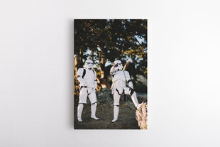 Репродукция Штурмовики (Stormtroopers) 100x150 см цена и информация | Репродукции, картины | pigu.lt