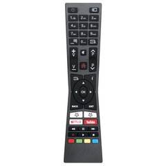 Пульт дистанционного управления для светодиодного телевизора JVC LTC RM-C3331  цена и информация | Аксессуары для телевизоров и Smart TV | pigu.lt