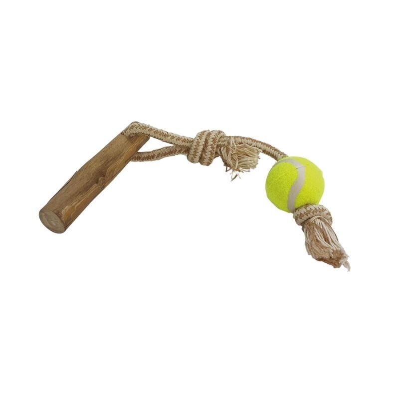 Žaislas šunims teniso kamuoliukas ant virvės su kavamedžio rankena, S, 40 cm kaina ir informacija | Žaislai šunims | pigu.lt