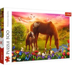 Dėlionė Trefl Žirgai, 500 det. kaina ir informacija | Dėlionės (puzzle) | pigu.lt