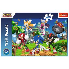 Dėlionė Trefl Sonic, 160 det. kaina ir informacija | Dėlionės (puzzle) | pigu.lt