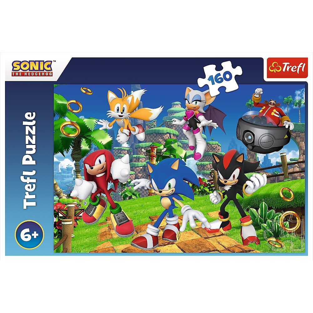 Пазл Trefl Sonic, 160 дет. цена | pigu.lt