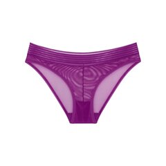 Kelnaitės moterims Triumph Tempting Sheer Highleg 7610875949194, violetinės kaina ir informacija | Kelnaitės | pigu.lt