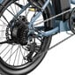 Elektrinis dviratis FAFREES F20 Light, 20", žalias kaina ir informacija | Elektriniai dviračiai | pigu.lt