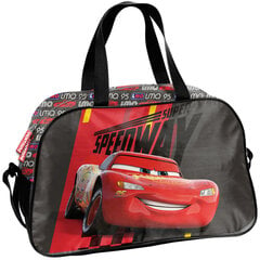 Vaikiškas sportinis krepšys Paso Cars DC22HH-074, 42x25x13 cm цена и информация | Школьные рюкзаки, спортивные сумки | pigu.lt