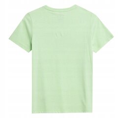 Marškinėliai berniukams 4F 4FJSS23TTSHM293, žali kaina ir informacija | Marškinėliai berniukams | pigu.lt