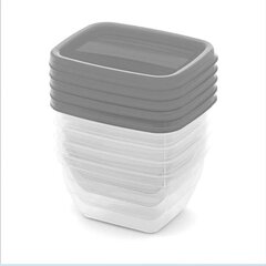 Набор контейнеров для пищевых продуктов 5x0,25 л Vedo прозрачный серый цена и информация | Посуда для хранения еды | pigu.lt