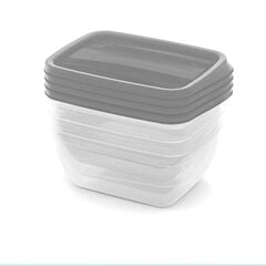 Контейнер для хранения продуктов Curver Fresh & Go Kit, 4 шт цена и информация | Посуда для хранения еды | pigu.lt