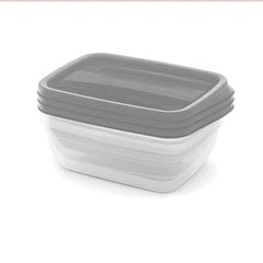 Набор посуды для еды Fresh &Go, прямоугольный, 3 шт, 2+1+0,5 л, синий цена и информация | Посуда для хранения еды | pigu.lt