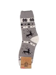 Мужские носки из шерсти альпаки цена и информация | Мужские носки | pigu.lt