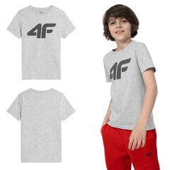 Marškinėliai berniukams 4F, pilki kaina ir informacija | Marškinėliai berniukams | pigu.lt