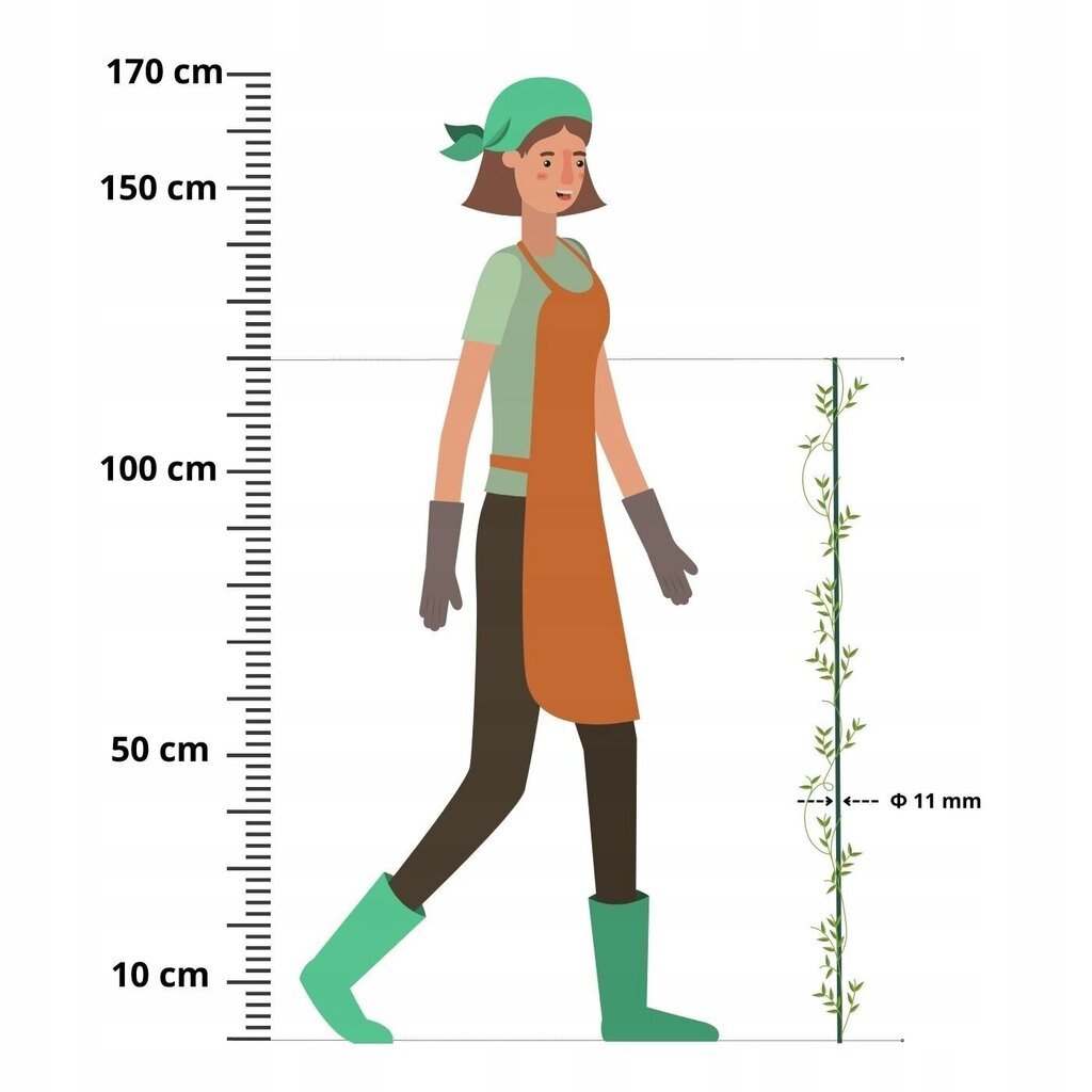 Augalų atramos, 120cm, 10 vnt. kaina ir informacija | Augalų priežiūros priemonės | pigu.lt