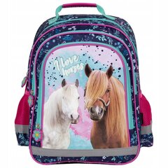 Vaikiška mokyklinė kuprinė su arkliukais kaina ir informacija | Kuprinės mokyklai, sportiniai maišeliai | pigu.lt